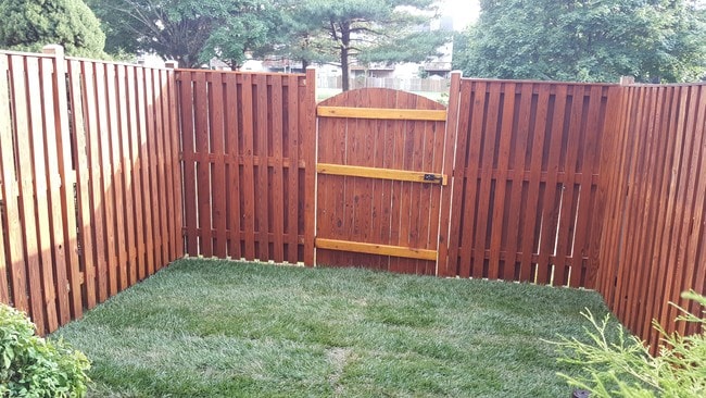 back yard - 1009 Simsbury Ct