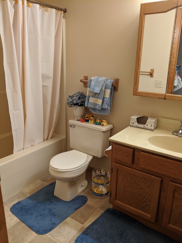 bathroom - 1031 Briar Ln