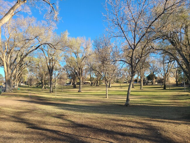 BEAUTIFUL HYDER PARK, FENCED YARDS & NO MONTHLY PET RENT! GREAT NEIGHBORHOOD FOR WALKING & BIKING. - 522 Wellesley Dr SE