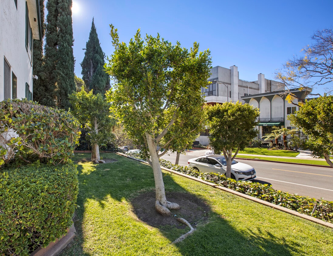 1638 Veteran Ave Unit 1638.5, Los Angeles, CA 90024 Apartments Los