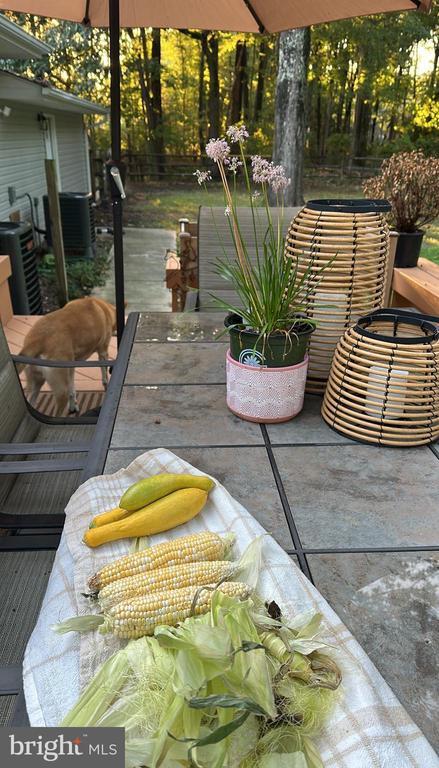 Foto del edificio - 1418 Shady Rst Rd