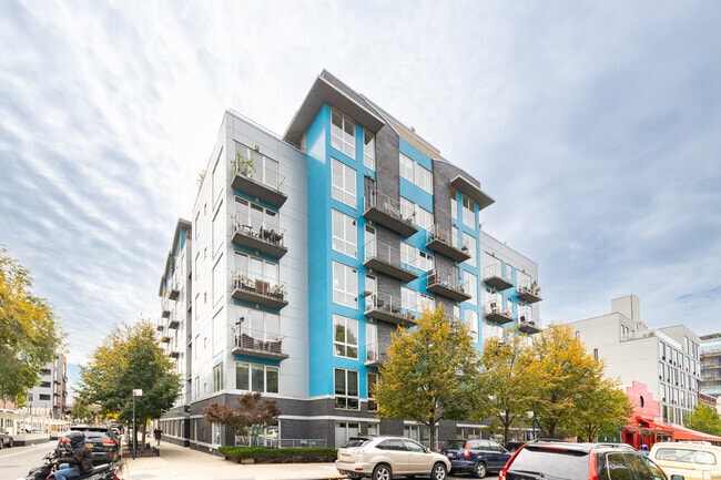 407 Leonard Street - Aqua