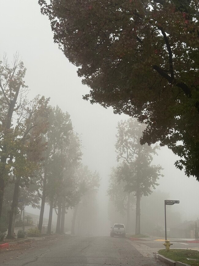 Foto del edificio - 9809 Creemore Dr