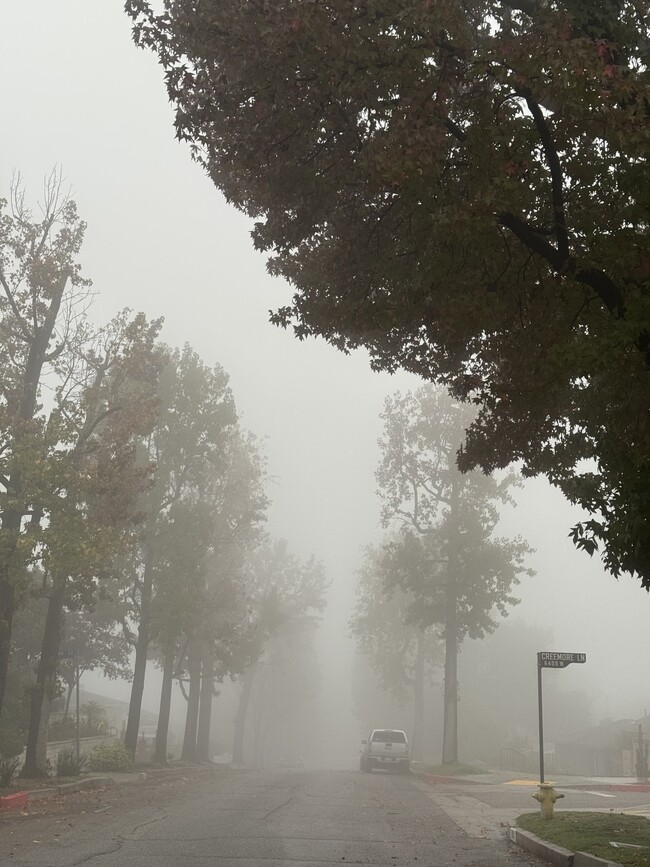 Building Photo - 9809 Creemore Dr