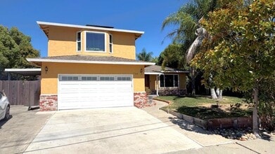 Building Photo - 1149 Paradise Dr