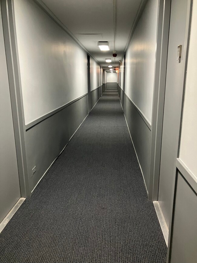 Updated Hallways - 1400 E 55th Pl (Chicago, IL) Apartment