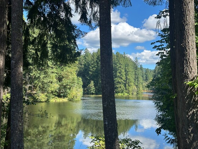 Building Photo - Your Private Lake Retreat Awaits in Clearwood
