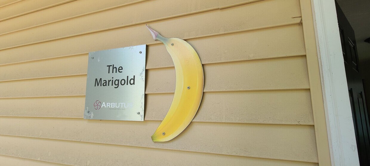 Primary Photo - The Marigold