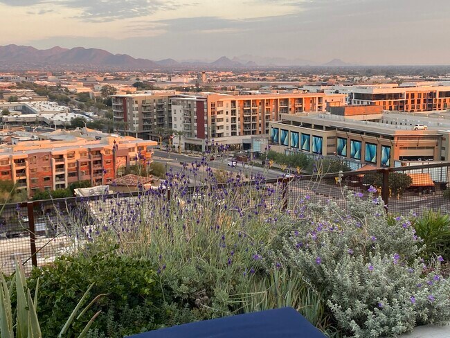 Rooftop - 7180 E Kierland Blvd