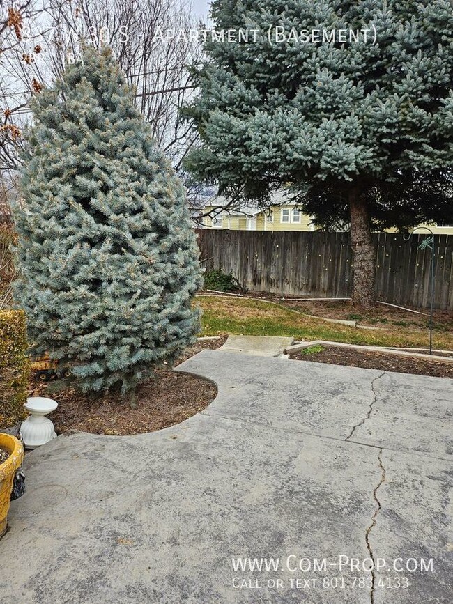 Building Photo - New Paint & Carpet 2 Bedroom Basement Apt ...