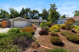 Building Photo - 1565 Silacci Dr