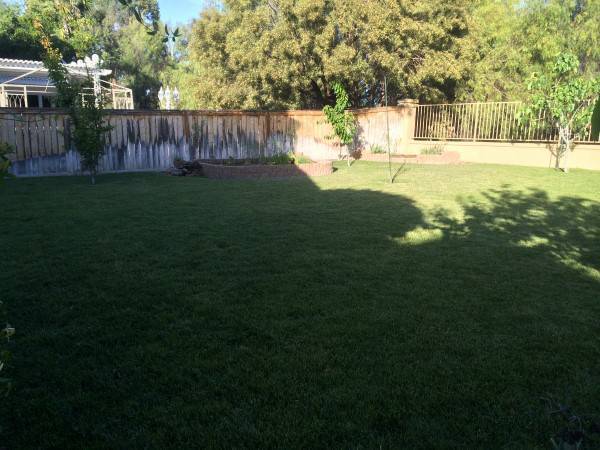 Foto del edificio - Single Story Home For Rent In Temecula