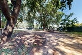 Located at 815 Pomona in Chico, California, this outdoor parcel offers a naturalistic, open-air environment defined by a generous canopy of mature trees that provide abundant shade throughout the grounds. The landscape is a mix of sandy soil, sparse grass, and wood chip mulch, creating a relaxed, park-like atmosphere beneath the broad, spreading branches overhead. Dappled sunlight filters through the tree canopy, casting shifting patterns across the ground and lending the space a cool, shaded character even on sunny California days. Several picnic tables are positioned throughout the property, offering casual seating areas that make the space suitable for outdoor gatherings or recreational use. The perimeter is secured by chain-link fencing with privacy screening along portions of the boundary, providing a defined and enclosed environment. Additional areas of open lawn border the fenced edges, while wood chip ground cover surrounds the base of the larger trees. Neighboring multi-story residential buildings are visible beyond the fence line, situating this parcel within an established urban neighborhood. The overall ambiance is that of a shaded, tranquil outdoor space with significant tree coverage, open ground areas, and functional amenities that lend themselves well to community or recreational purposes.