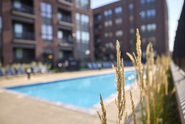 Building Photo - Two Twenty Vine