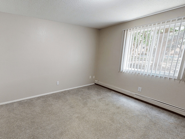 Cozy, Plush Carpeting - THE LEGACY