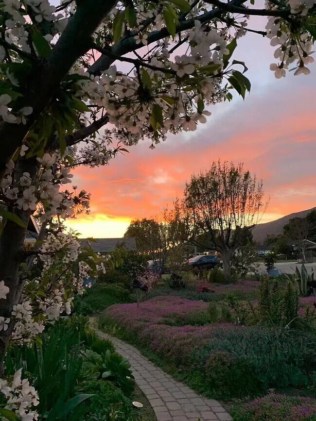 Foto del edificio - 848 E Northridge Ave