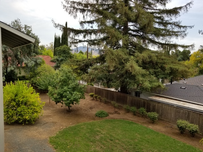 Photo - 3720 Clayton Rd Apartment