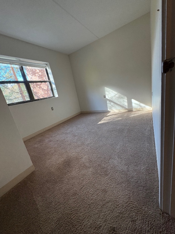 Building Photo - 4 Cedar St