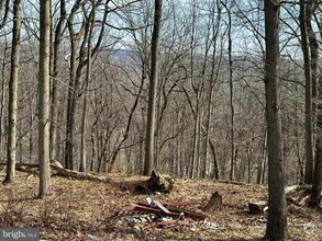 Building Photo - 1716 Horse Shoe Trail