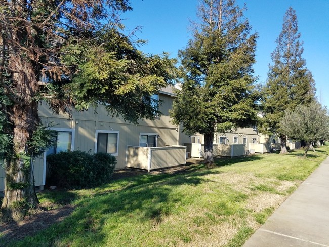 Apartments For Rent Willow Glen