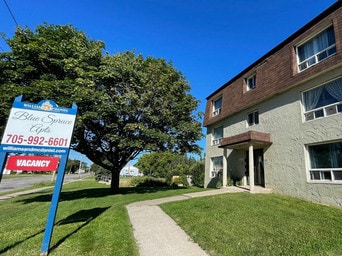 Photo principale - Blue Spruce Apts