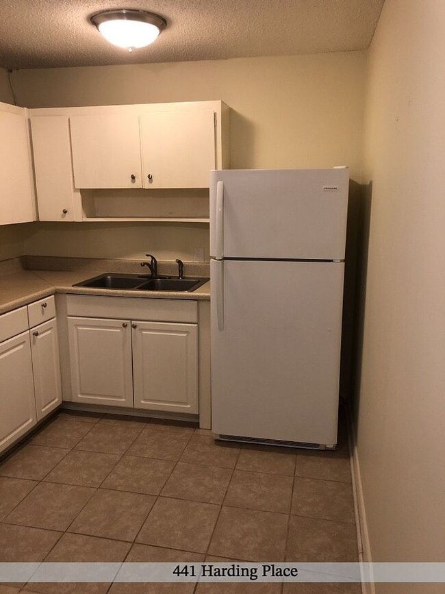 Building Photo - 441 Harding Pl