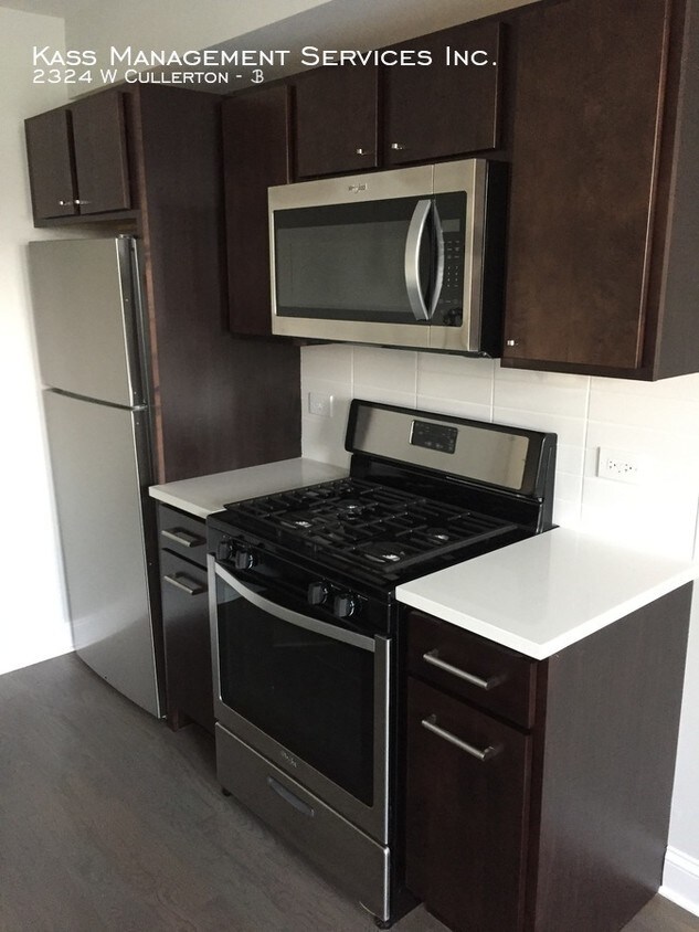Brand New Rehabbed 2 bed/2bath in Pilsen Apartment for Rent in