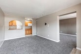 This single-floor unit offers a straightforward and functional layout designed for comfortable everyday living. The living area is generously proportioned, featuring plush blue-grey carpeting underfoot and neutral-toned walls that create a calm, understated atmosphere. A sliding glass door and wall-mounted AC unit bring in natural light and climate control, while the open layout provides flexibility for various furniture arrangements.

The kitchen is accessed through a charming arched pass-through from the living area, lending a classic architectural detail to the space. Inside, the kitchen is equipped with warm-toned wood cabinetry, light stone-patterned countertops, a stainless steel sink, a full-size refrigerator, and a built-in microwave above the range. The flooring transitions to light ceramic tile, which is easy to maintain and clean.

The bedroom is a comfortable, carpeted room featuring a sliding window that admits natural light and a wall-unit AC for independent climate control. A built-in closet with a hanging rod provides practical storage.

The bathroom includes a wide vanity with a single basin sink, a well-lit mirror, and tile flooring with a decorative mosaic border at the threshold. A separate toilet and tiled shower area round out the functional and tidy bathroom space.