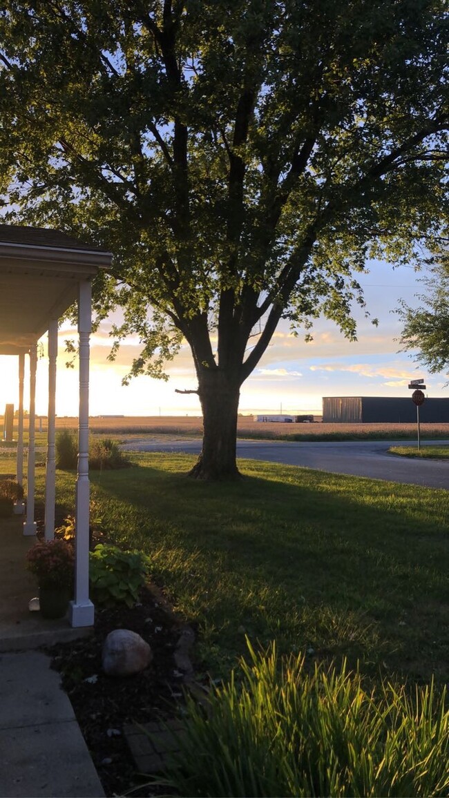 Front yard view - 516 W Darby Dr
