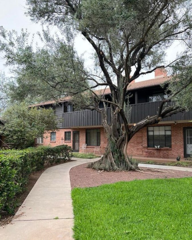 Building Photo - 333 S Alvernon Way
