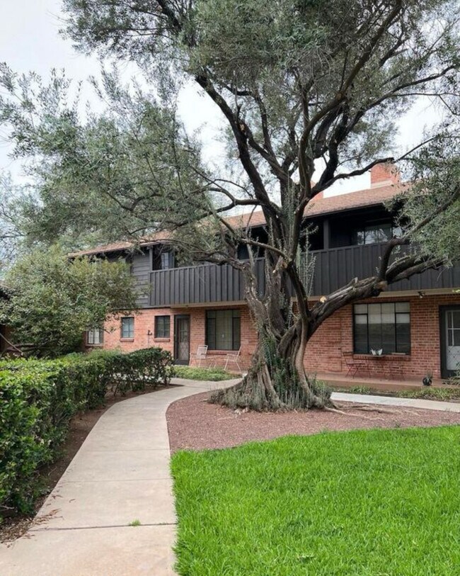 Foto del edificio - 333 S Alvernon Way