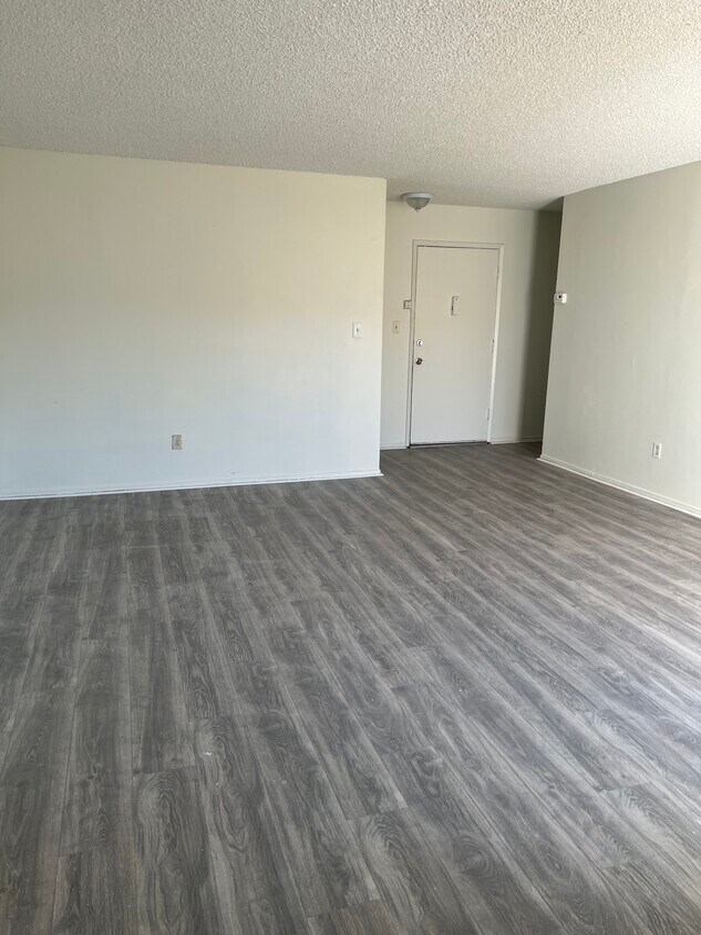 Living Room - 1409 S Manhattan Plz
