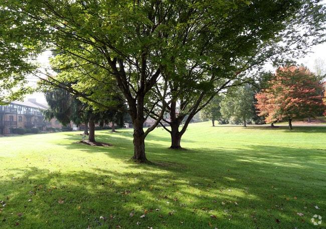 Yard - Carriage Hill Apartments: A 55 and Better Community