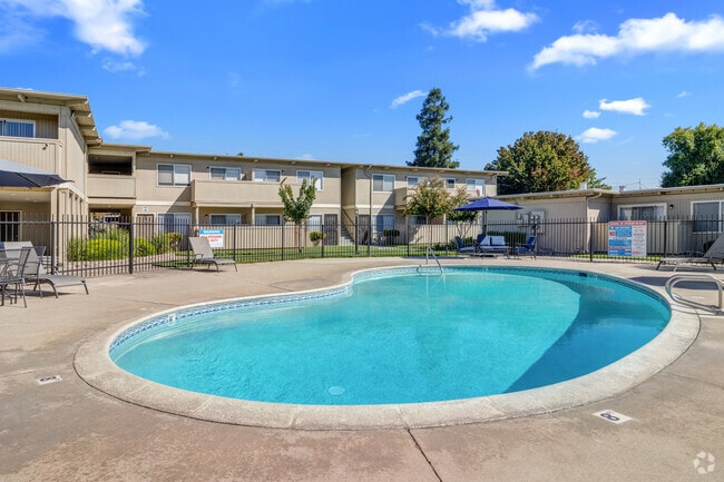 Northside Pool - Stardust Villa Apartments