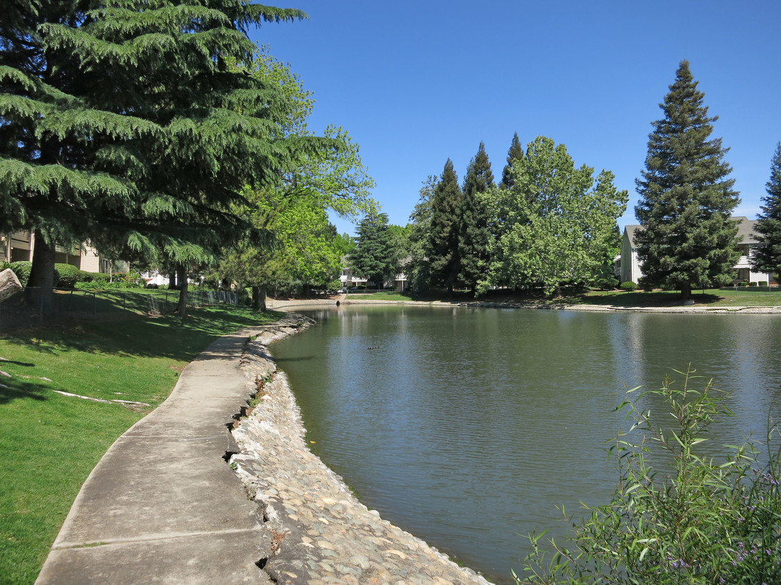 Lakeside Village Photo