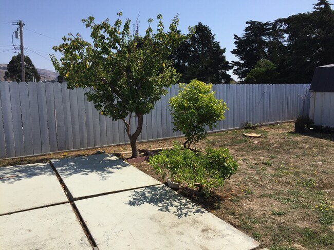 Backyard - 774 Camaritas Ave