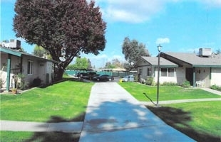 Primary Photo - Village Grove Apartments