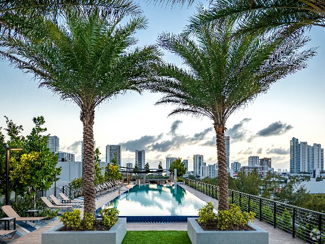 Wynwood Apartments For Rent Miami Fl Apartments Com