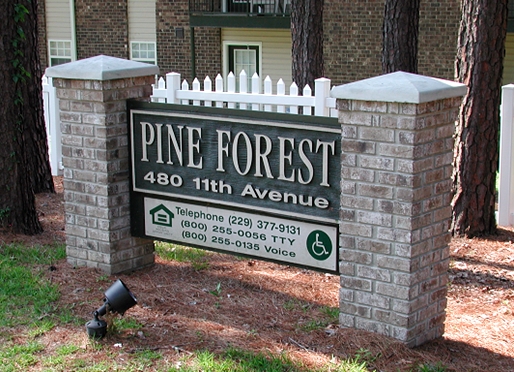 Primary Photo - Pine Forest Apartments