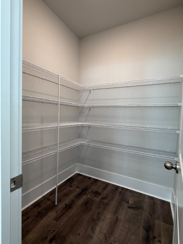 Building Photo - 123 Stride Ct