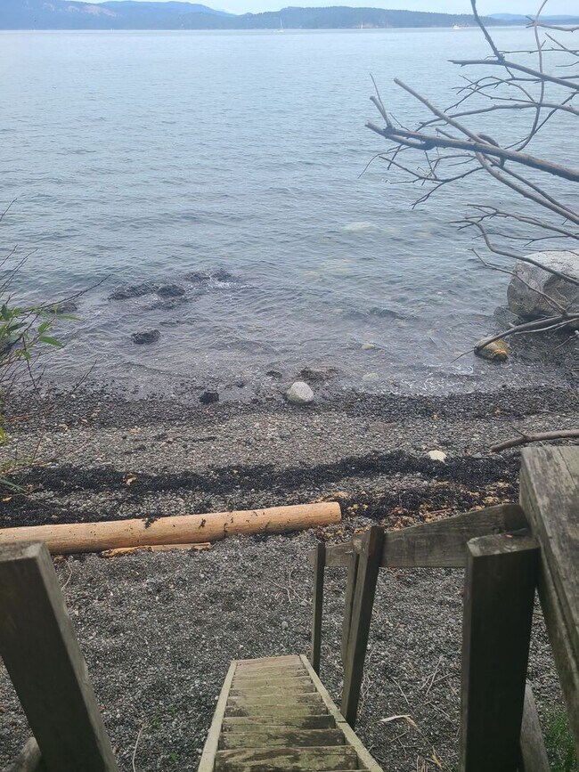 Foto del edificio - Charming Waterfront Cabin on San Juan Driv...