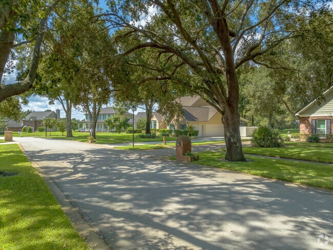 Tall well established oak trees bring charm to neighborhood streets.