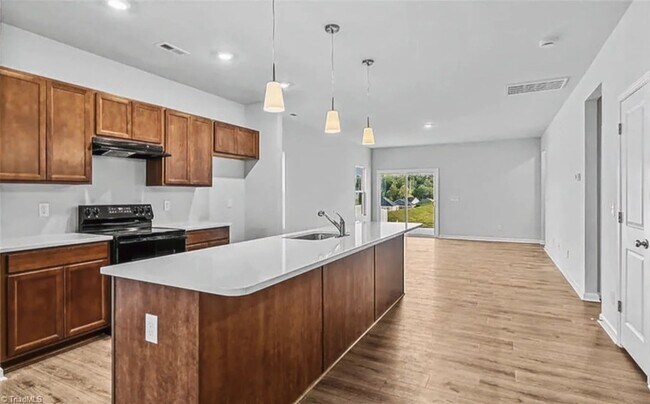 Building Photo - Stunning Brand New Construction in Winston Salem!