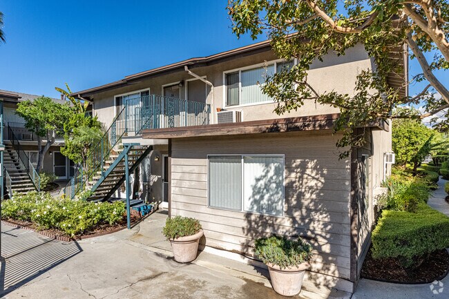 Alternar - Evergreen Pine