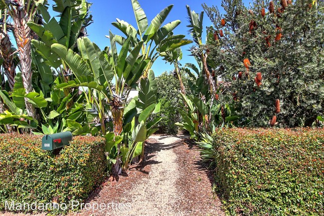 Building Photo - 3 br, 1.5 bath House - 121 Calle Alamo