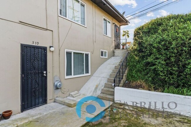 Building Photo - 519 Pitta St