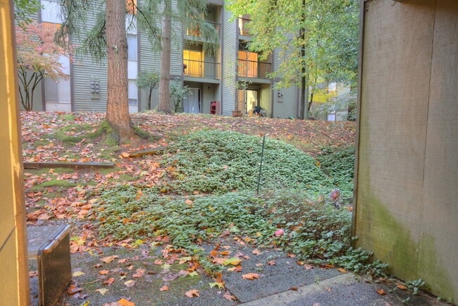 Foto del edificio - Condo for Rent in Overlake - Bellevue Area!