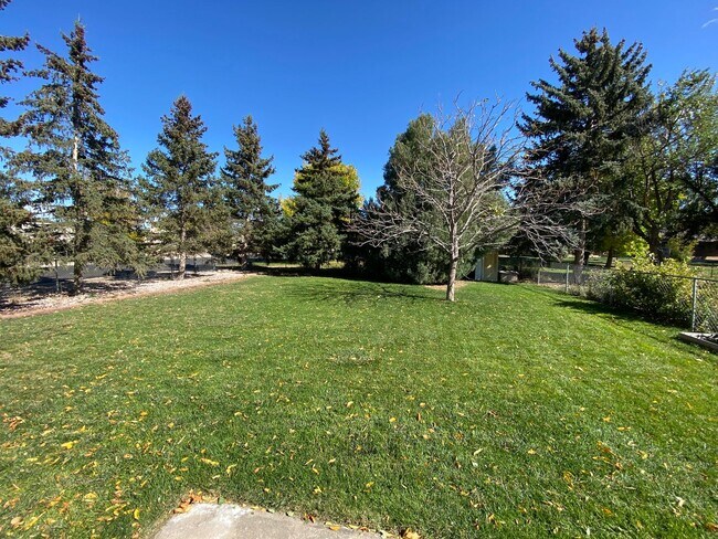 Foto del edificio - 2 Bed 1 Bath Home in NE Fort Collins!
