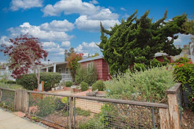 Foto del edificio - Beautiful 3 BD, 2 BA Home in Bird Rock fea...