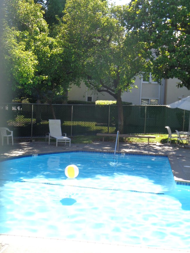 pool - 260 Chilpancingo Pkwy